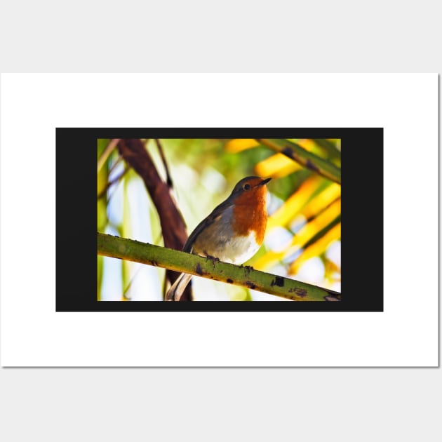 Little Red Robin bird Wall Art by InspiraImage